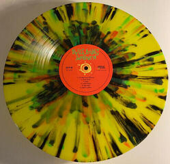 Disque vinyle Blake Babies - Sunburn (Reissue) (Leaf Green Opaque Coloured) (LP) - 2