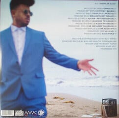 LP ploča Blu - The Color Blu(e) (2 LP) - 1