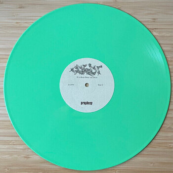 LP ploča Botanist - I: The Suicide Tree / II: A Rose From The Dead (Reissue) (Blue/Mint Coloured) (2 LP) - 4