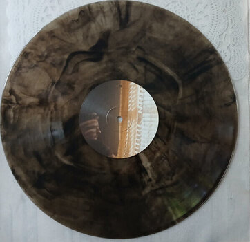 LP ploča The Boxer Rebellion - Ghost Alive (Limited Edition) (Black & White Swirled) (LP) - 2