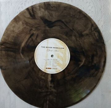 LP ploča The Boxer Rebellion - Ghost Alive (Limited Edition) (Black & White Swirled) (LP) - 3
