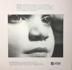 LP ploča Brian - Understood (Reissue) (LP) - 1