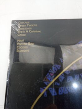 Disque vinyle Siouxsie & The Banshees - A Kiss In The Dreamhouse (LP) (Endommagé) - 4