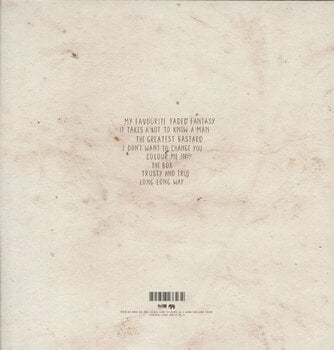 LP ploča Damien Rice - My Favourite Faded Fantasy (45 RPM) (2 LP) - 2