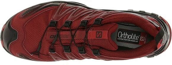 Chaussures outdoor hommes Salomon XA Pro 3D GTX Red Dahlia/Black/Barbados Cherry 44 2/3 Chaussures outdoor hommes - 2