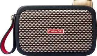 Combo modélisation Positive Grid Spark GO + Case SET Combo modélisation - 1