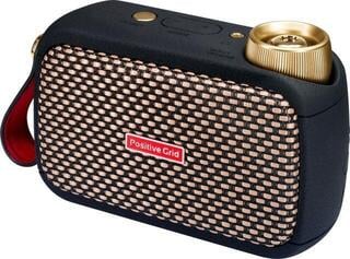 Combo modélisation Positive Grid Spark GO + Case SET Combo modélisation - 2