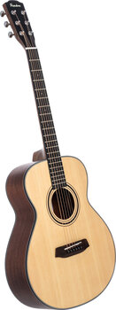Folkkitarr Pasadena PT-100 SET Natural Folkkitarr - 4