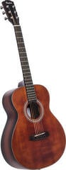 Guitare acoustique Pasadena PT-200 SET Vintage Guitare acoustique - 3