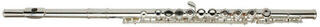 Concert flute Roy Benson FL-402R SET Concert flute - 1