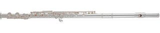 Concert flute Roy Benson FL-602E SET Concert flute - 1
