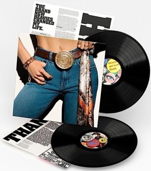 Vinyl Record The Brand New Heavies - Never Stop... (The Best Of) (180 g) (2 LP) - 2