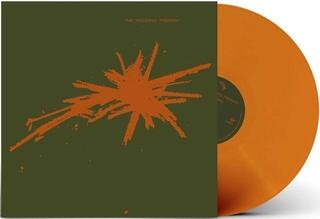 LP ploča The Wedding Present - Bizarro (Reissue) (Anniversary Edition) (Orange Bio Coloured) (LP) - 1