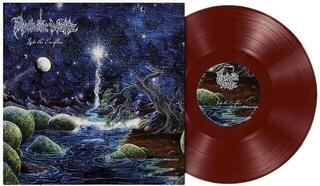 LP ploča Psychotic Waltz - Into The Everflow (Limited Edition) (Deep Blood Coloured) (Remastered) (180 g) (LP) - 1