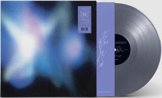 LP ploča Fazerdaze - Soft Power (Limited Edition) (City Silver Coloured) (LP) - 1