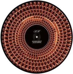 LP deska Richard Hawley - Coles Corner (Anniversary Edition) (Limited Edition) (Zoetrope) (Picture Disc) (LP) - 2