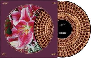 LP deska Richard Hawley - Coles Corner (Anniversary Edition) (Limited Edition) (Zoetrope) (Picture Disc) (LP) - 1