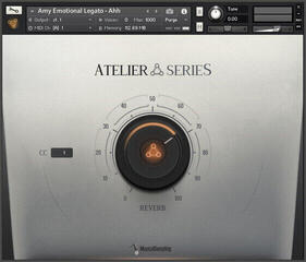 Sample/Sound Library Musical Sampling Atelier Series Amy (Digital product) - 1