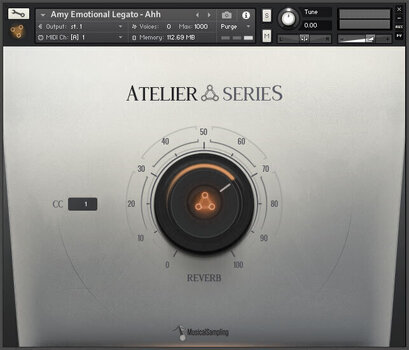 Banques de sons et samples Musical Sampling Atelier Series Amy (Produit numérique) - 2
