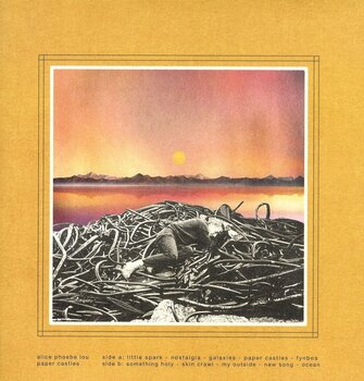 LP ploča Alice Phoebe Lout - Paper Castles (LP) - 3