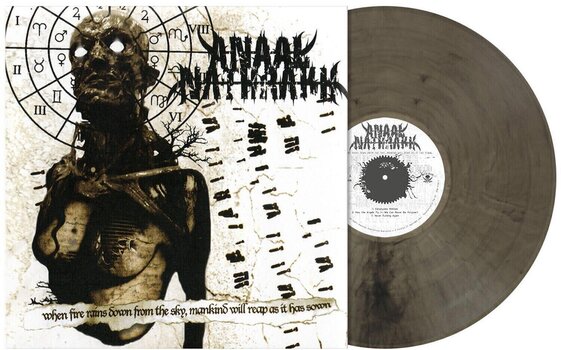 Disc de vinil Anaal Nathrakh - When Fire Rains Down From The Sky, Mankind Will Reap As It Has Sown (Limited Edition) (Clear Ash Grey Coloured) (LP) - 2