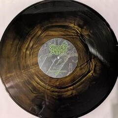 LP ploča Shadow Of Intent - Imperium Delirium (Black/Lemon Galaxy Coloured) (2 LP) - 1