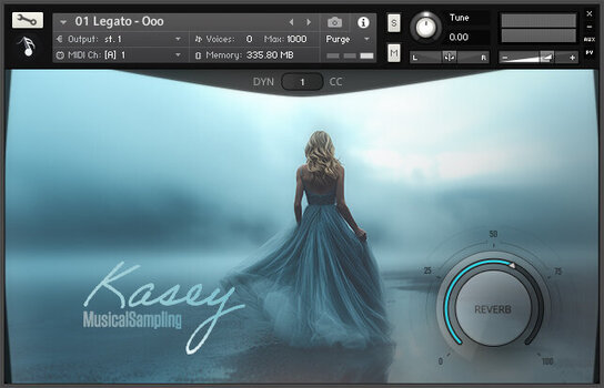 Sample/Sound Library Musical Sampling Kasey (Digital product) - 2