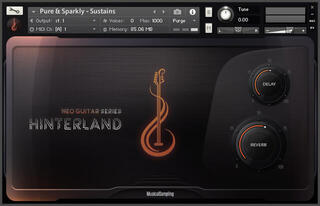 Sample/Sound Library Musical Sampling Neo Guitar Series: Hinterland (Digital product) - 1
