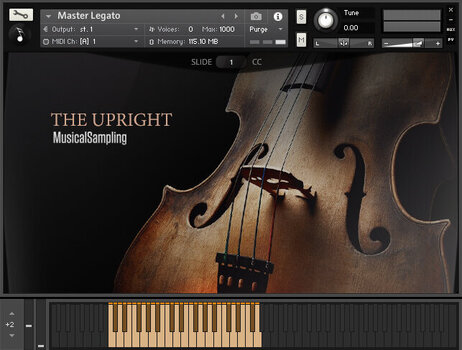 Biblioteca de samples/sons Musical Sampling The Upright (Produto digital) - 2