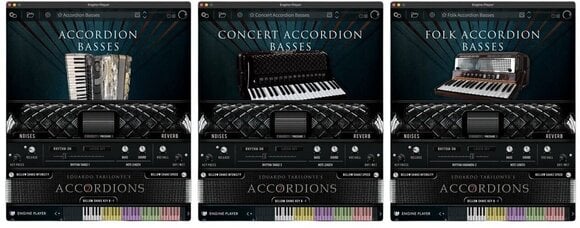 Sample/Sound Library Engine Audio Accordions 2 - Collection EP (Digital product) - 4