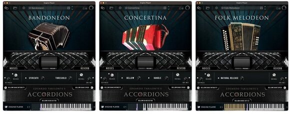 Update / Upgrade / Expansion Engine Audio Accordions 2 - Collection Upgrade EP (Digitální produkt) - 2