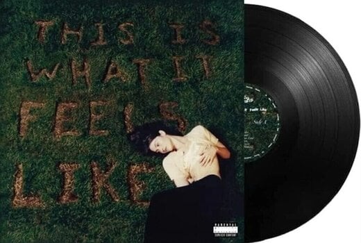 Vinylplade Gracie Abrams - This Is What It Feels Like (LP) - 2