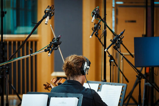 Audio biblioteka za sampler Spitfire Audio Spitfire Studio Strings Professional (Digitalni proizvod) - 3