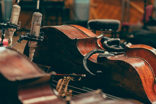 Geluidsbibliotheek voor sampler Spitfire Audio Abbey Road Orchestra: Basses Core (Digitaal product) - 3
