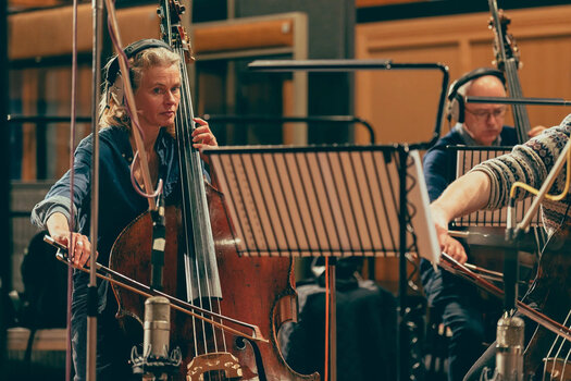 Geluidsbibliotheek voor sampler Spitfire Audio Abbey Road Orchestra: Basses Core (Digitaal product) - 4