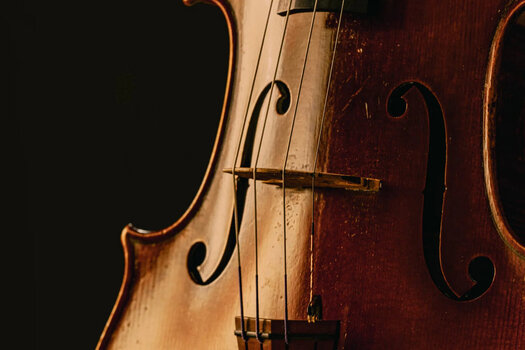 Geluidsbibliotheek voor sampler Spitfire Audio Abbey Road Orchestra: Violas Professional (Digitaal product) - 2