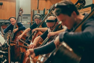 Geluidsbibliotheek voor sampler Spitfire Audio Abbey Road Orchestra: Basses Core (Digitaal product) - 5