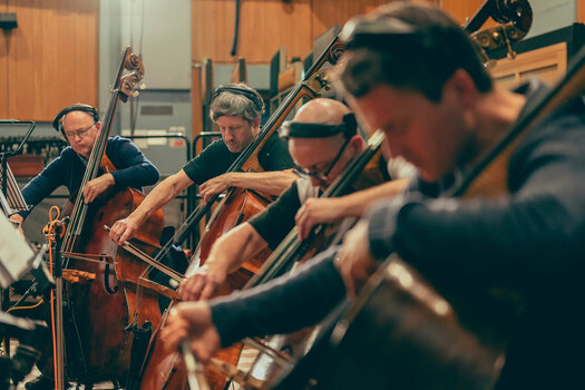 Geluidsbibliotheek voor sampler Spitfire Audio Abbey Road Orchestra: Basses Core (Digitaal product) - 6