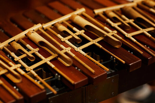 Biblioteca de muestras/sonidos Spitfire Audio Percussion Swarm (Producto digital) - 6