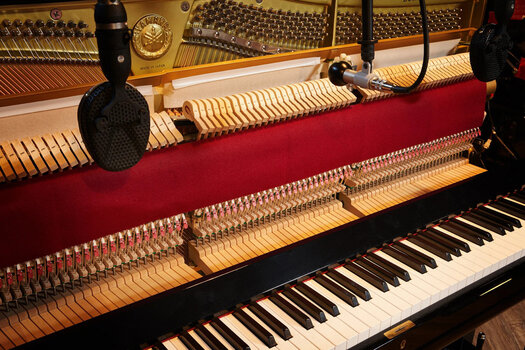 Sample i instrumenty wirtualne Spitfire Audio Olafur Arnalds Stratus (Produkt cyfrowy) - 3