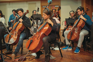 Soundlibraries für Sampler Spitfire Audio The Albions Orchestral Selects (Digitales Produkt) - 3