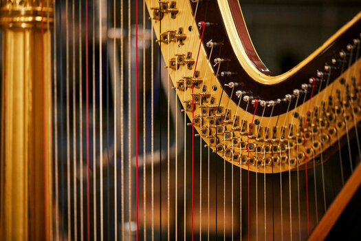 Biblioteca de muestras/sonidos Spitfire Audio Spitfire Harp (Producto digital) - 2