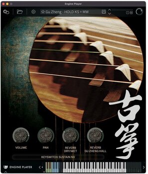Soundlibraries für Sampler Engine Audio Gu Zheng EP (Digitales Produkt) - 2
