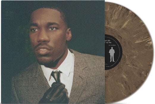 LP platňa Giveon - Beloved (Bronze Marble Coloured) (LP) - 2