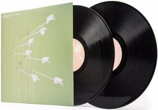 LP ploča Modest Mouse - Good News For People Who People Who Love Bad News (2 LP) - 1