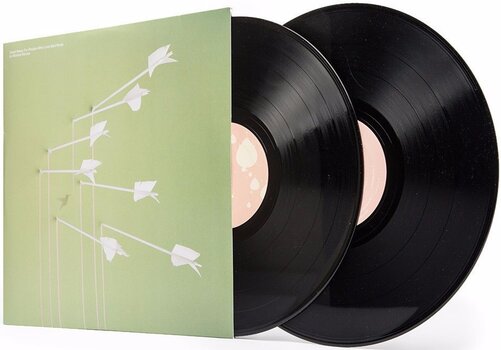 LP ploča Modest Mouse - Good News For People Who People Who Love Bad News (2 LP) - 2