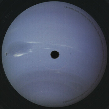 Disco in vinile Modest Mouse - Strangers To Ourselves (180 g) (2 LP) - 4