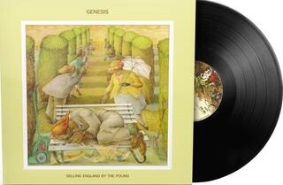 Vinüülplaat Genesis - Selling England By The Pound (Reissue) (Remastered) (180g) (LP) - 1
