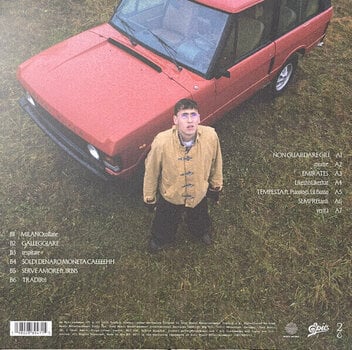 LP ploča Tredici Pietro - Non Guardare Giu (Special Edition) (Clear Coloured) (LP) - 8