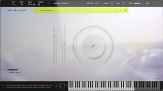 Bibliotecă de sunet pentru samplere Spitfire Audio Hainbach — Landfill Totems (Produs digital) - 1